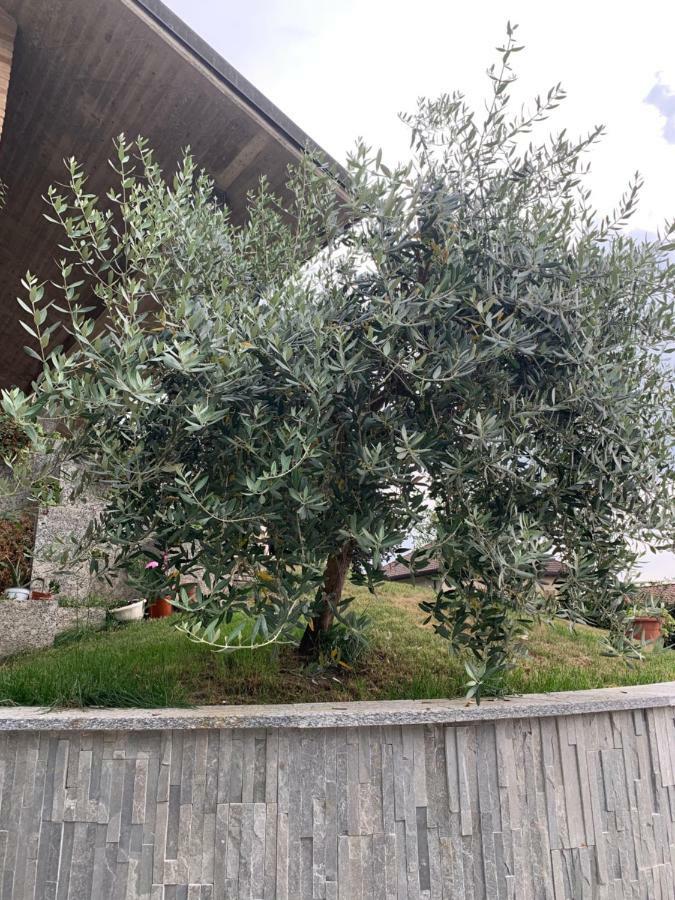 Villa Cuore Tavernerio ภายนอก รูปภาพ